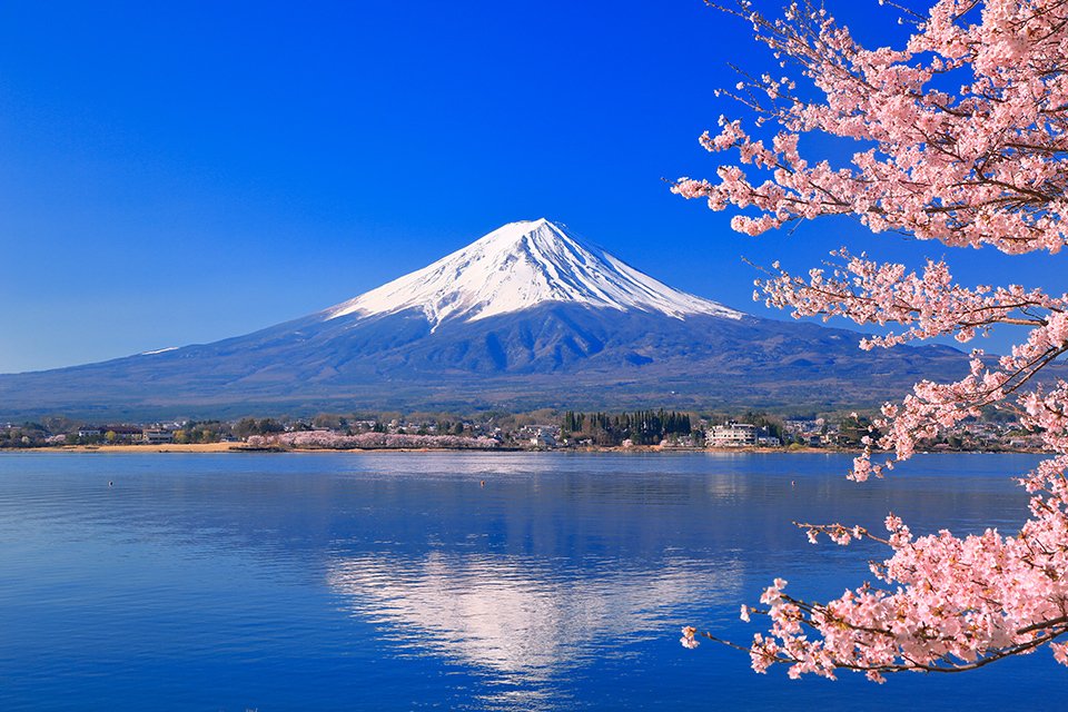 AYFN Autumn Japan Culture Camp 2025