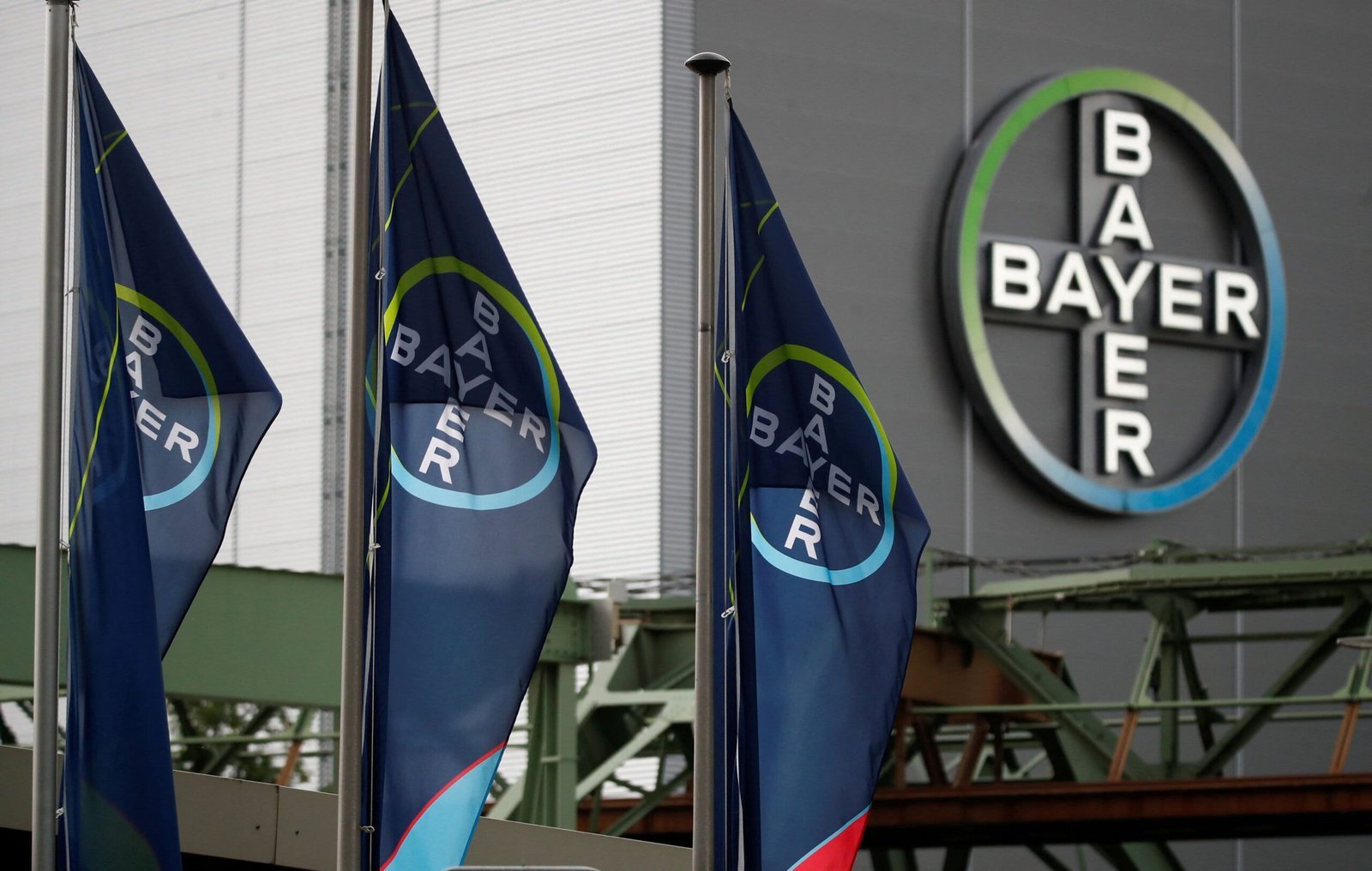 Bayer Foundation Fellowships 2025 Germany