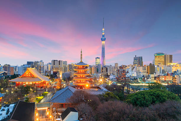 DAAD-JSPS Fellowships 2026, Japan