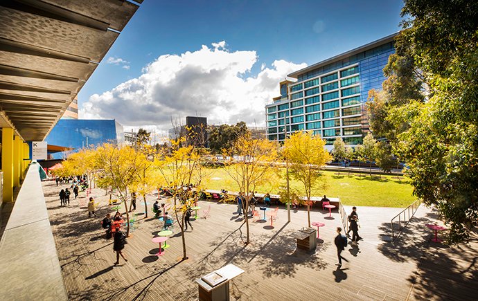 James McNeil Scholarship of Monash University in Australia 2025