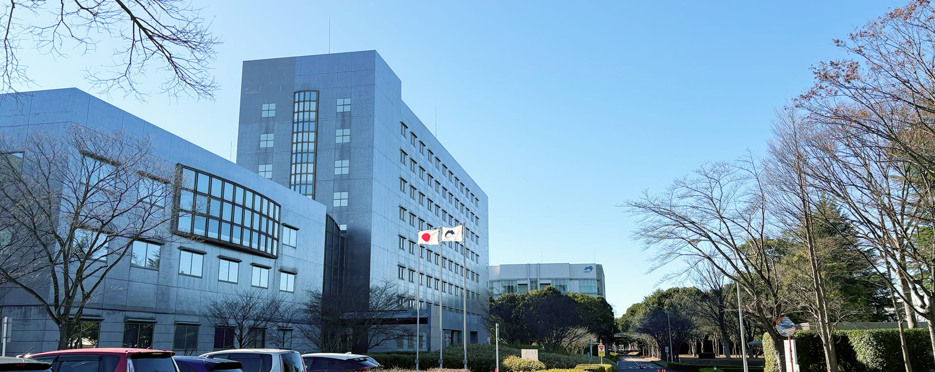 National Institute for Materials Science NIMS Internship 2026 Japan
