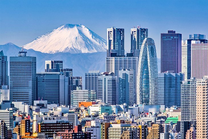 OIST Research Internship in Japan(Spring 2026)